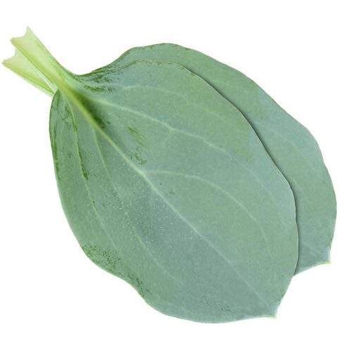  Fit Fresh Oysterleaved - Holland Box 2 x 50 g