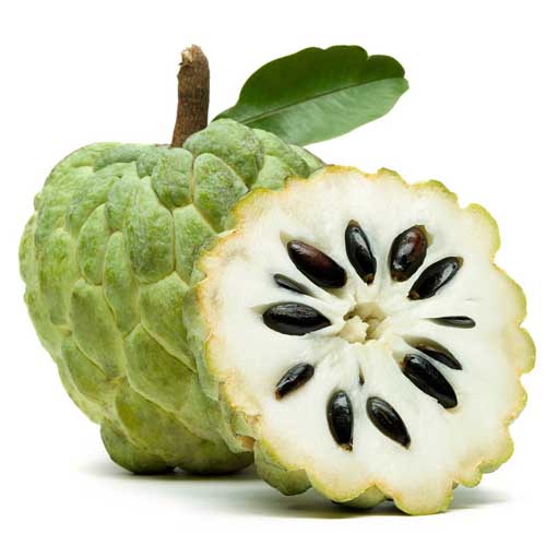 CUSTARD APPLE - LEBANON ( KG )