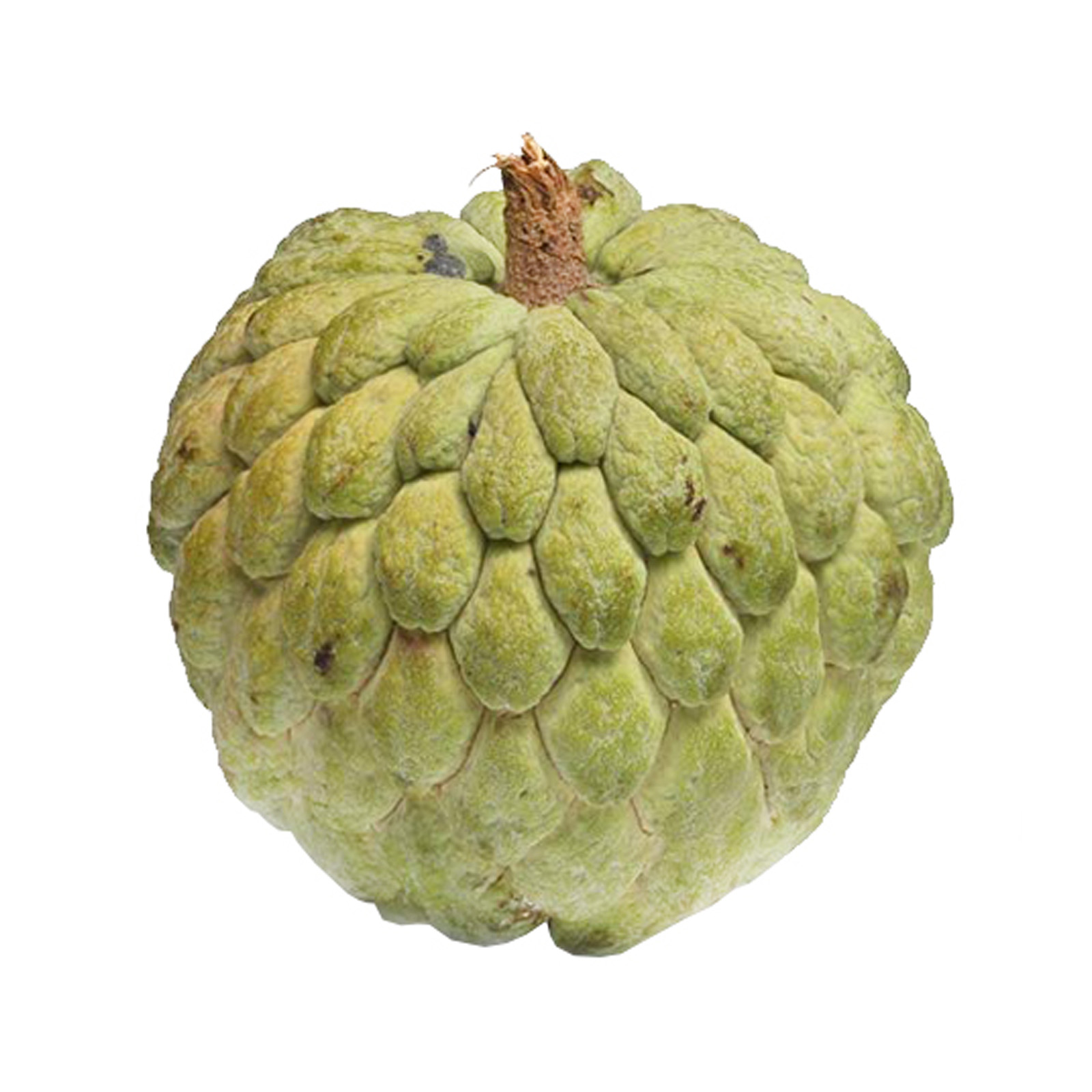 CUSTARD APPLE - SPAIN ( KG )