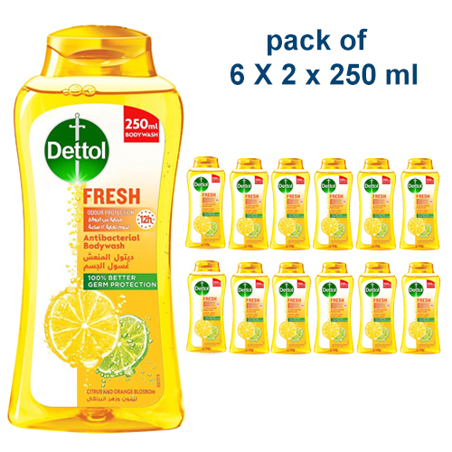 SHOWER GEL & BODY WASH FRESH DETTOL ( 6 X 2 X 250 ML )