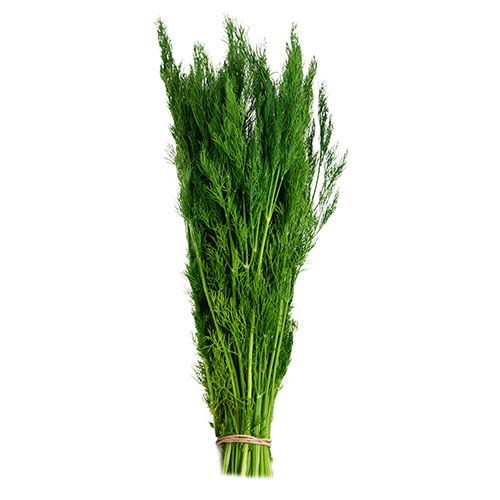DILL LEAVES - ME - BUNCH ( 100 GM )