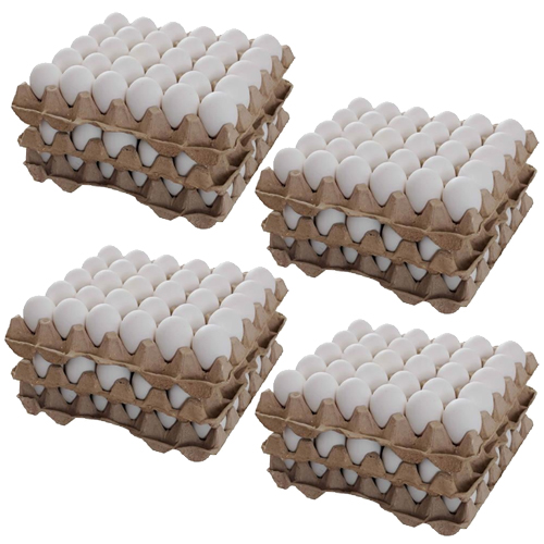  Egg White Large 12 X 30 Pcs - Turkey