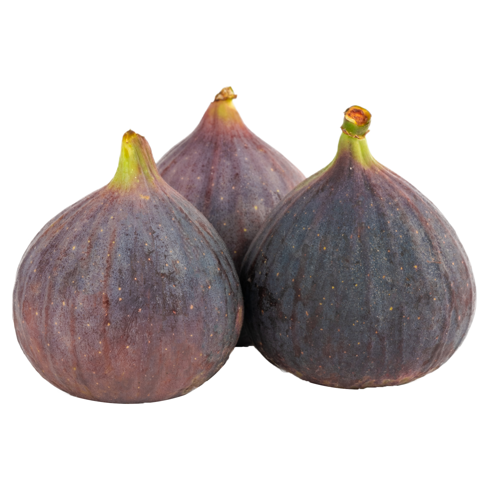 FIG - TURKEY ( KG )