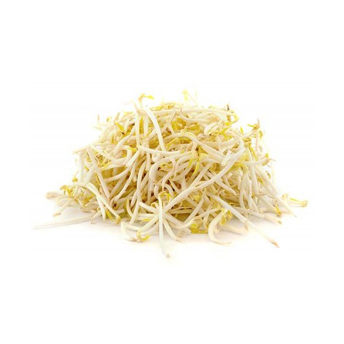 BEAN SPROUTS - UAE ( KG )