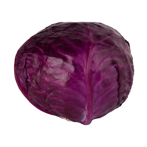  Fit Fresh Cabbage Red Kg - ME