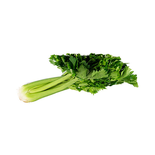  Fit Fresh Celery 800 - 1000 g Bunch - Spain