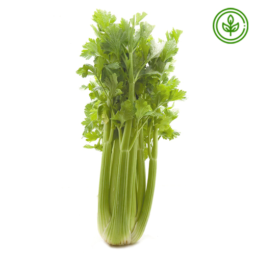  Organic  Celery - Australia