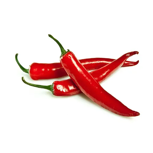CHILLY RED LONG - ME ( KG )