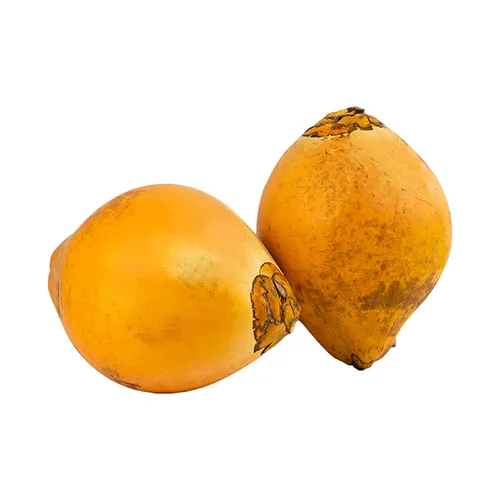 Fit Fresh Coconut Tender King Pcs - Srilanka ( PRE ORDER )