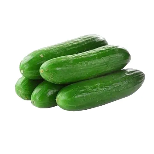  Fit Fresh Cucumber Kg - ME 