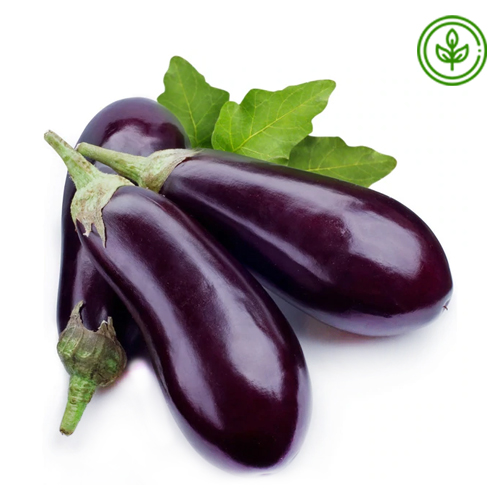  Organic  Eggplant 