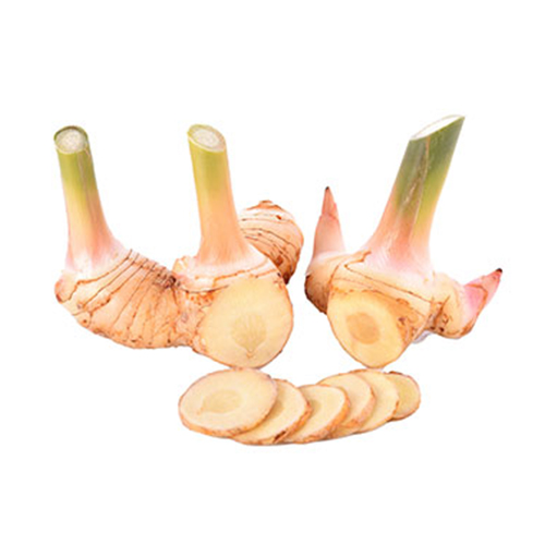  Fit Fresh Galangal 1 Kg - Thailand