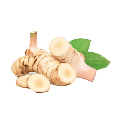  Fit Fresh Galangal 1 Kg - Thailand