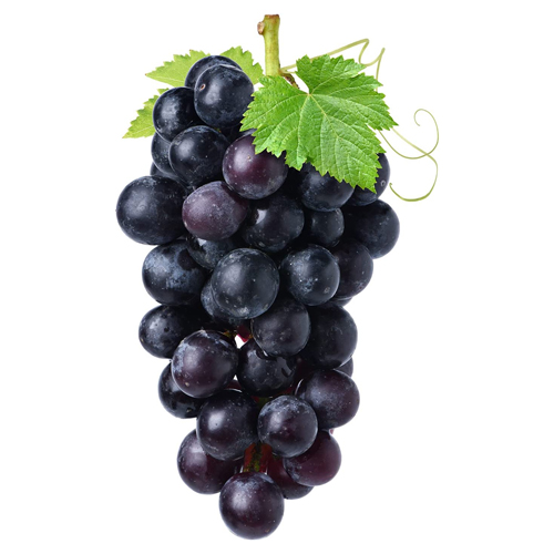  Fit Fresh Grapes Black S/L 1Kg - Egypt 