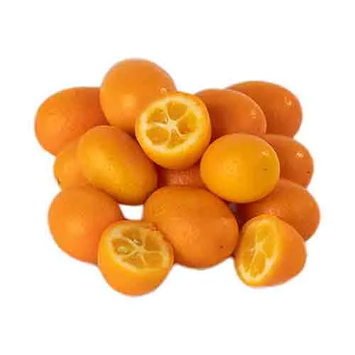  Fit Fresh Kumquat Kg- Spain/RSA