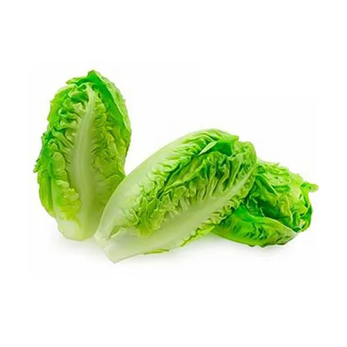 LETTUCE GEM BABY - SPAIN - HEAD ( 500 GM )