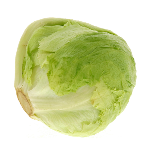 LETTUCE ICEBERG - LEBANAN - HEAD ( 500 GM )