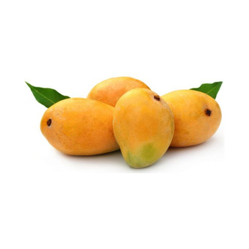 MANGO ALPHONSO - INDIA ( KG )