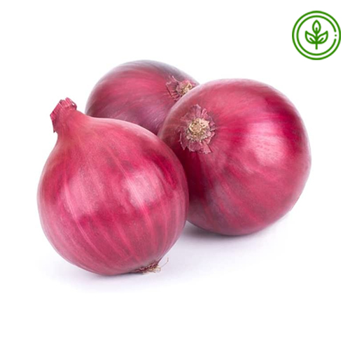  Organic Onion Red 