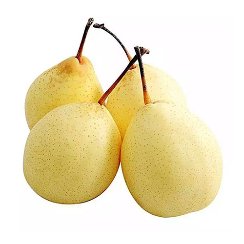  Fit Fresh Pear Ya 1 Kg -  China 