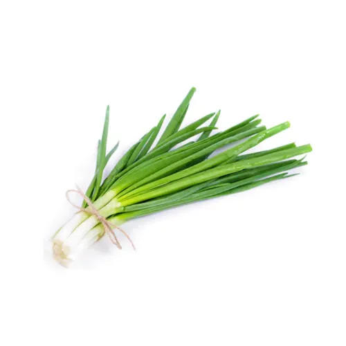 SPRING ONION - UAE - BUNCH ( 100 GM )