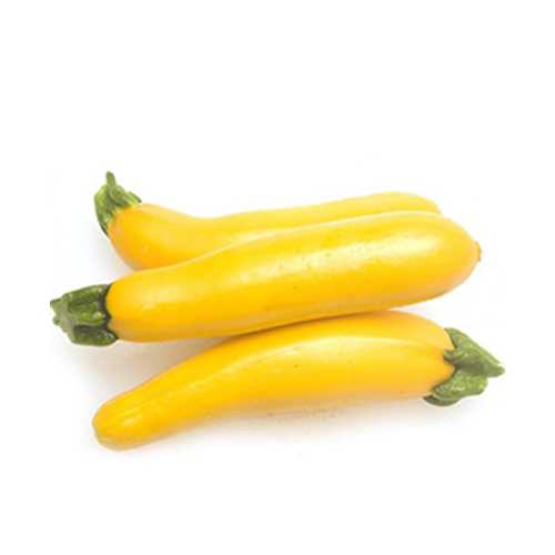  Fit Fresh Zucchini Yellow - Holland