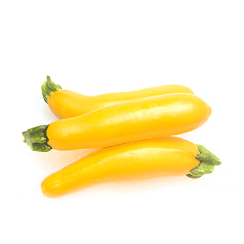 ZUCCHINI YELLOW - HOLLAND - PKT ( 500 GM )