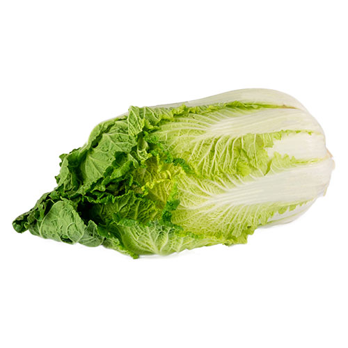  Fit Fresh Chinese Cabbage 1 pc 0.8 - 1.2 kg - ME