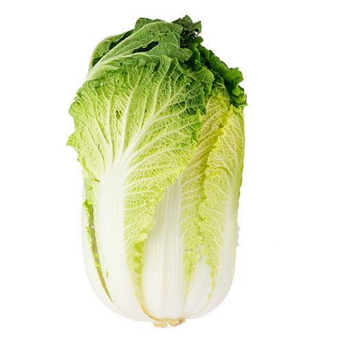 CABBAGE CHINESE - OMAN - 1PC ( 0.8 - 1.2 KG )