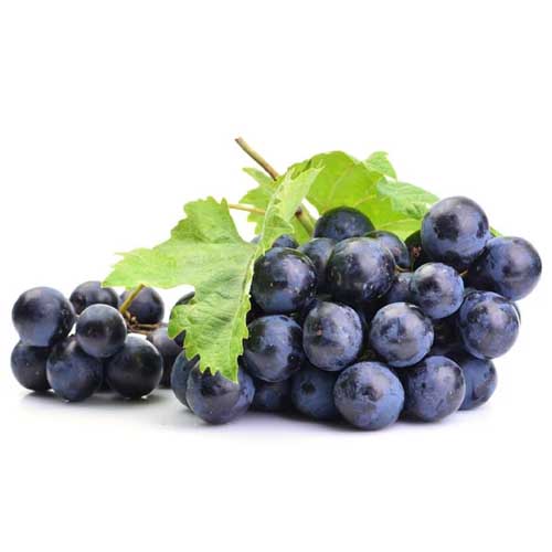 GRAPES BLACK S/L - INDIA - PKT ( 500 GM ) 