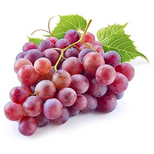 GRAPES RED GLOBE - RSA - PKT ( 500 GM )