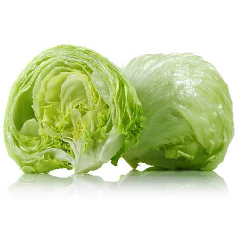 LETTUCE ICEBERG - EGYPT ( KG )