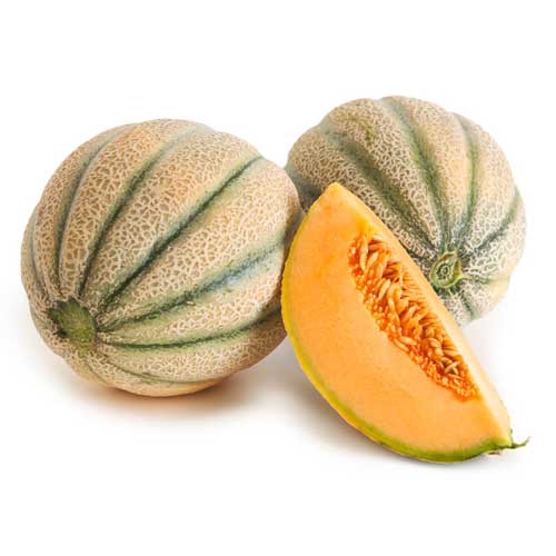 MELON ROCK - BRAZIL ( KG )