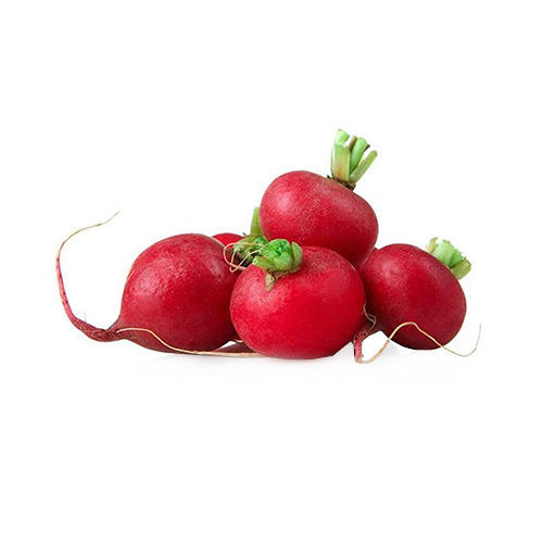  Fresh Red Radish kg - Holland 