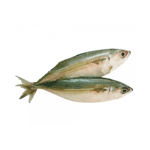 FISH MACKEREL FROZEN ( 1 KG )