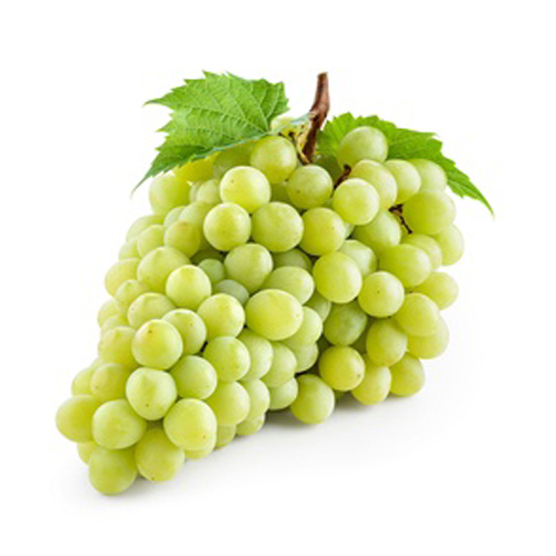 GRAPES WHITE S-L - EGYPT ( KG )