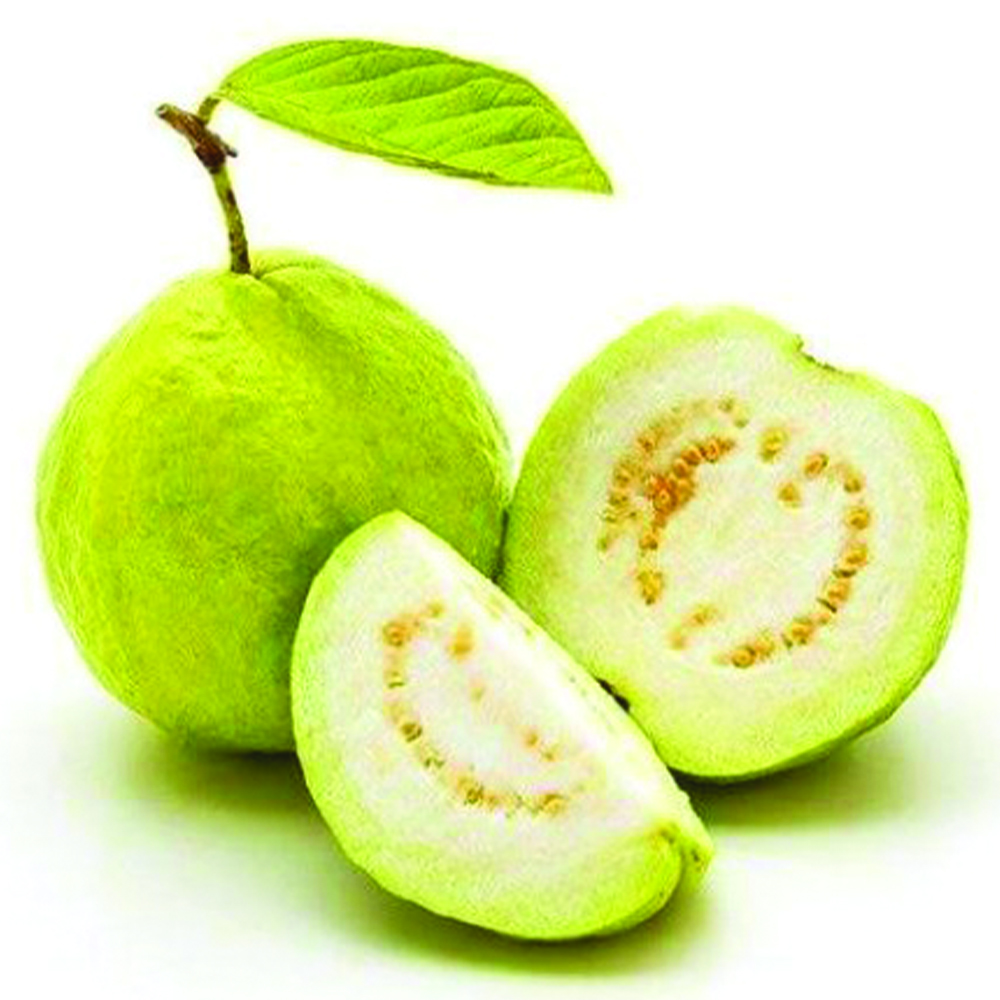  Fit Fresh Guava 1 Kg - Vietnam 