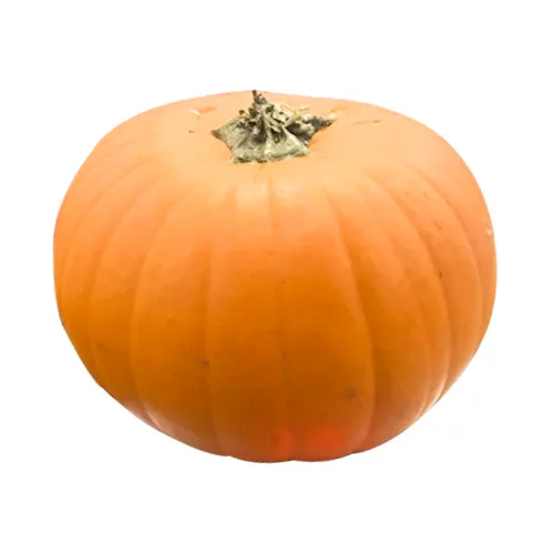 DECORATIVE / HALLOWEN PUMPKIN ( PCS - 1.5 kg to 2 kg )