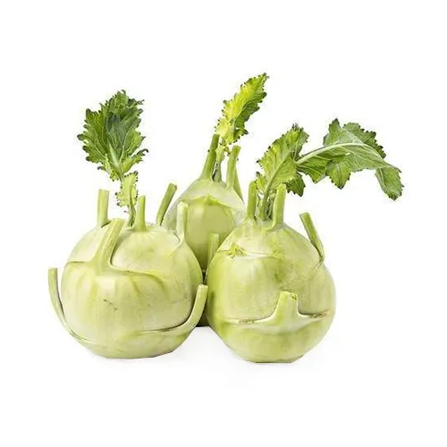 KOHLRABI - EUROPE ( kg )