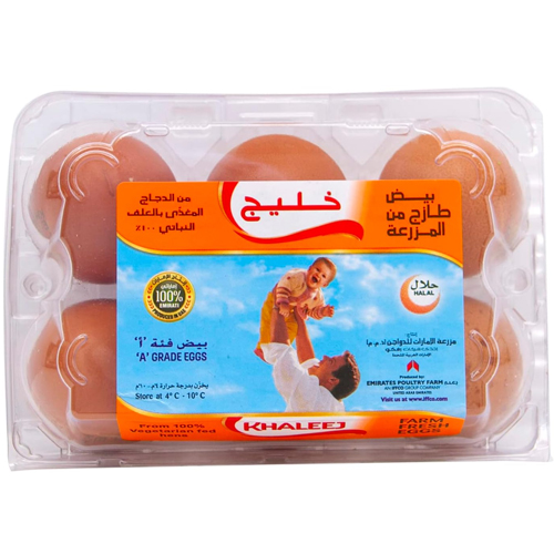 EGG BROWN OMEGA 3 LARGE KHALEEJ ( 6 PCS )