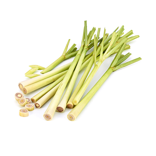  Fit Fresh Lemon Grass 500 g  Bunch - Thailand