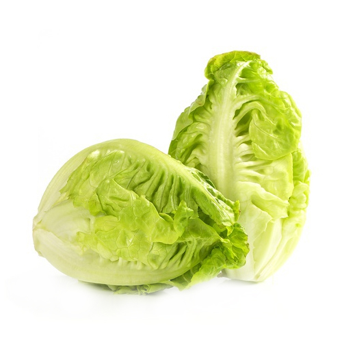  Fit Fresh Lettuce Gem Baby 380 g - Spain