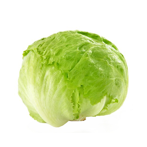 LETTUCE ICEBERG - IRAN - HEAD ( 500 GM )