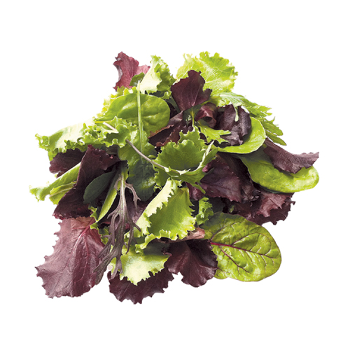  Fit Fresh Lettuce Mesc Mix 125 g Pkt - Italy