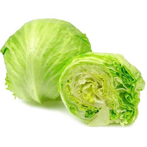 LETTUCE ICEBERG - SPAIN ( KG )