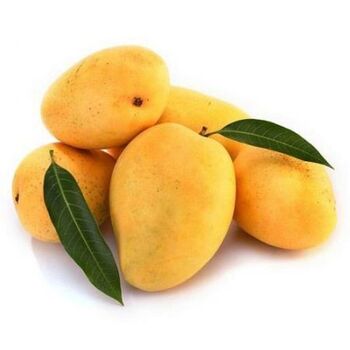  Fit Fresh Mango Kg - Egypt 