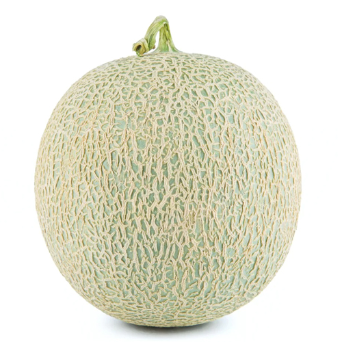 MELON HONEYDEW - BRAZIL ( PC )