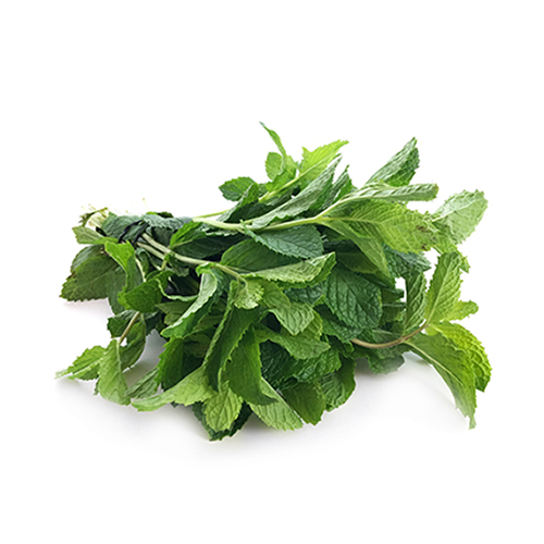 MINT FRESH 30G CYPRUS ( BUNCH )