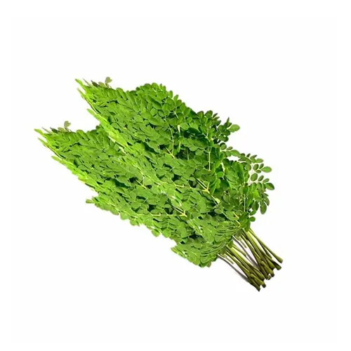 MORINGA LEAVES - INDIA ( 100 GM )
