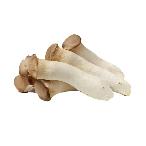 MUSHROOM ERYNGII - CHINA - PKT ( 200 GM )